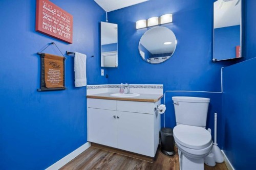 252 Lancaster Drive, Red Deer, AB - Indoor Photo Showing Bathroom