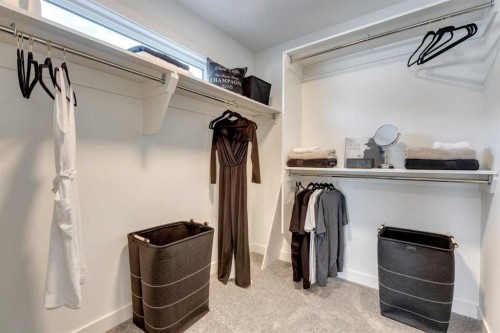 9 Amblefield View Nw, Calgary, AB - Indoor