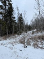 514 CLEARWATER ESTATES Crescent  Rural Clearwater County, AB T4T 2A2