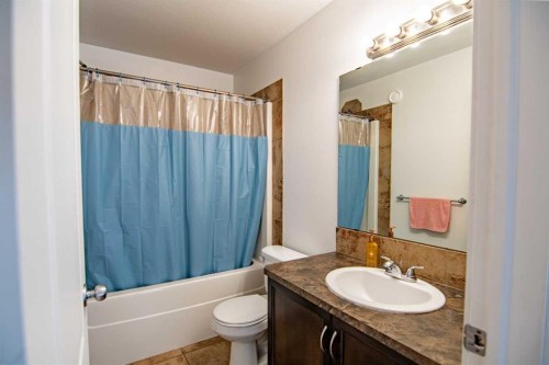 172 Ibbotson Close, Red Deer, AB - Indoor Photo Showing Bathroom