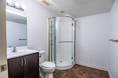 172 Ibbotson Close, Red Deer, AB - Indoor Photo Showing Bathroom