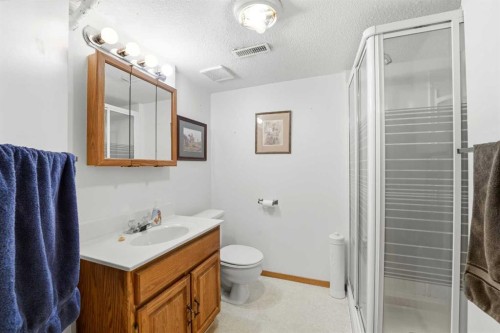 69 Wright Avenue, Red Deer, AB - Indoor Photo Showing Bathroom