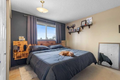 10 Chappel Drive, Red Deer, AB - Indoor Photo Showing Bedroom