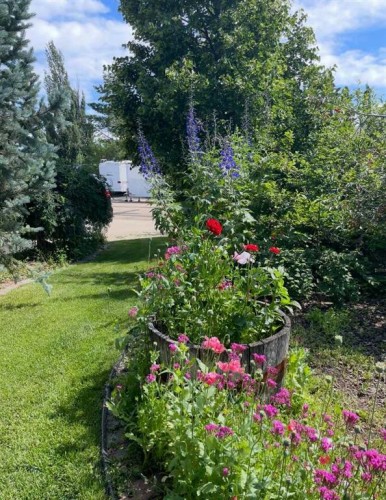 5508 49 Avenue, Alix, AB - Outdoor