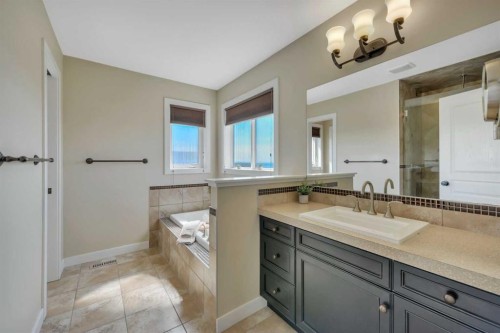 176 Ingle Close, Red Deer, AB - Indoor Photo Showing Bathroom