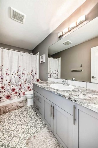 99 Livingston Close, Red Deer, AB - Indoor Photo Showing Bathroom
