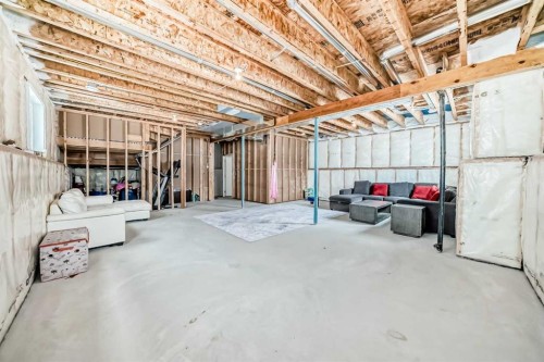 99 Livingston Close, Red Deer, AB - Indoor Photo Showing Basement