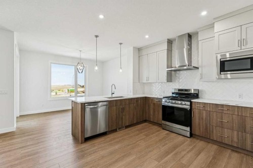 86 Keystone Creek Terrace Ne, Calgary, AB - Indoor Photo Showing Kitchen With Stainless Steel Kitchen With Upgraded Kitchen