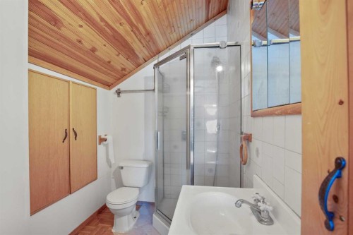 39020B Range Road 21, Rural Lacombe County, AB - Indoor Photo Showing Bathroom