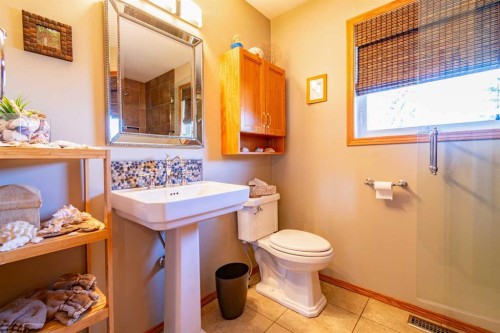 5404 49A Avenue, Alix, AB - Indoor Photo Showing Bathroom