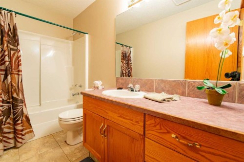5404 49A Avenue, Alix, AB - Indoor Photo Showing Bathroom