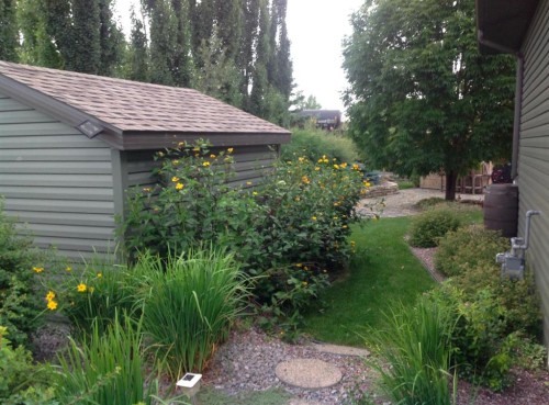 5404 49A Avenue, Alix, AB - Outdoor