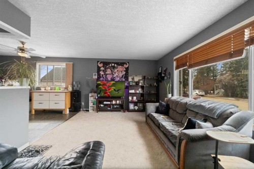 4925 49 Street, Killam, AB - Indoor Photo Showing Living Room