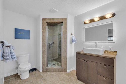 56 Wilkinson Circle, Sylvan Lake, AB - Indoor Photo Showing Bathroom