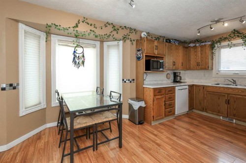 56 Elder Street, Red Deer, AB - Indoor Photo Showing Kitchen With Double Sink