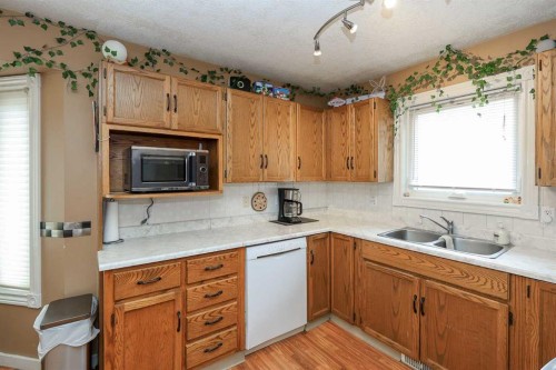 56 Elder Street, Red Deer, AB - Indoor Photo Showing Kitchen With Double Sink