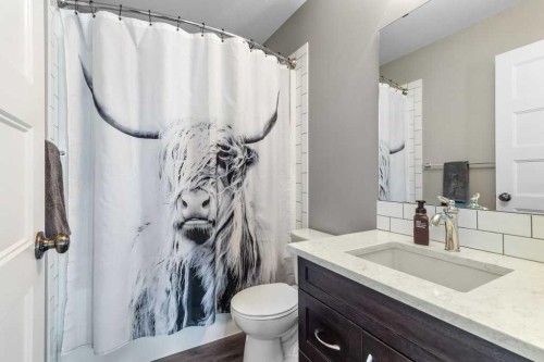 30 Brookstone Drive, Sylvan Lake, AB - Indoor Photo Showing Bathroom