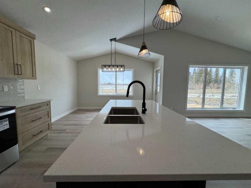 52 Emmett Crescent, Red Deer, AB - Indoor Photo Showing Kitchen With Double Sink