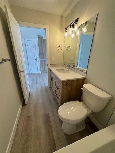 52 Emmett Crescent, Red Deer, AB - Indoor Photo Showing Bathroom