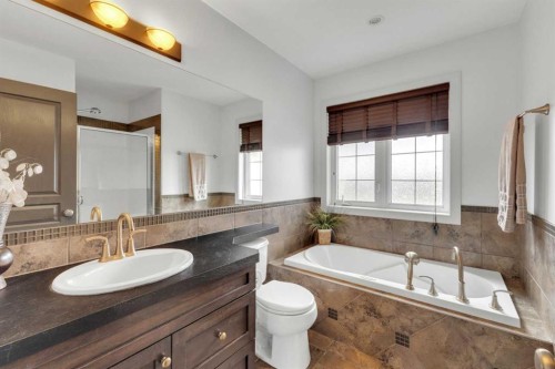 132 Ingle Close, Red Deer, AB - Indoor Photo Showing Bathroom