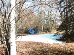 71037 Township Road 39-3 Rural Clearwater County, AB T0M 0C0