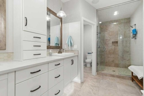 41 Cole Way, Sylvan Lake, AB - Indoor Photo Showing Bathroom