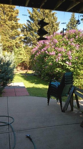 44 Norwest Close, Red Deer, AB - Outdoor