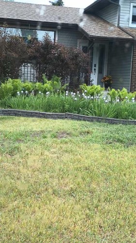 44 Norwest Close, Red Deer, AB - Outdoor