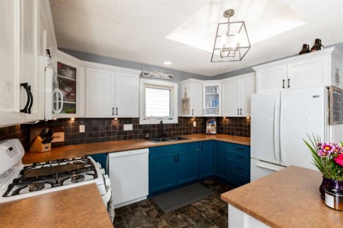 62 Rupert Crescent, Red Deer, AB - Indoor Photo Showing Kitchen With Double Sink