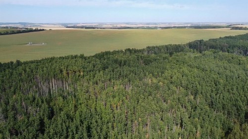 Sunhaven Road, Rural Lacombe County, AB - Outdoor With View