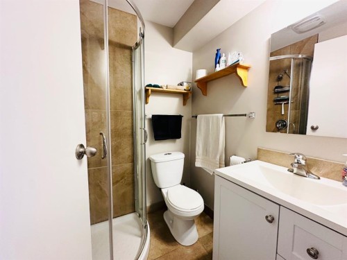 15 Pinecliff Close Ne, Calgary, AB - Indoor Photo Showing Bathroom