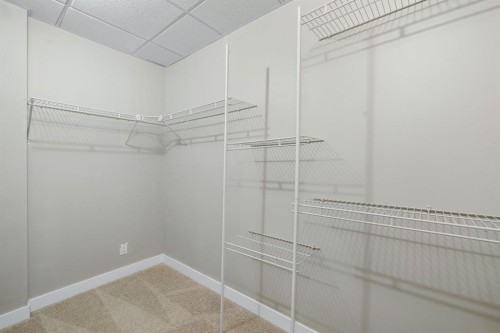65 Macewan Ridge Circle Nw, Calgary, AB - Indoor With Storage