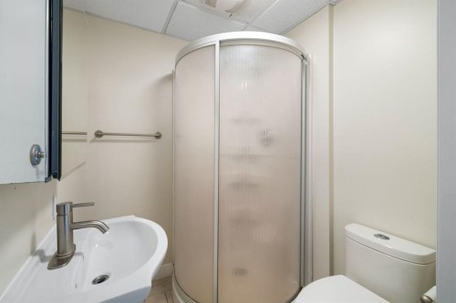 65 Macewan Ridge Circle Nw, Calgary, AB - Indoor Photo Showing Bathroom