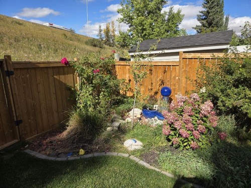 65 Macewan Ridge Circle Nw, Calgary, AB - Outdoor