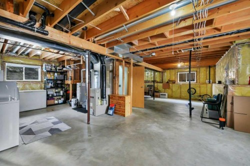 176 Westgate Crescent, Blackfalds, AB - Indoor Photo Showing Basement