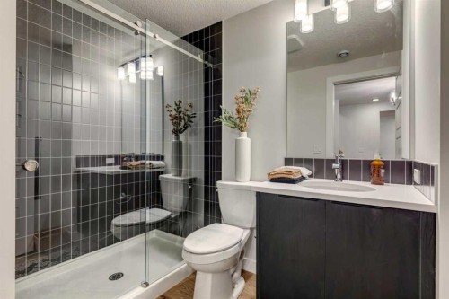 64 Southborough Common, Cochrane, AB - Indoor Photo Showing Bathroom