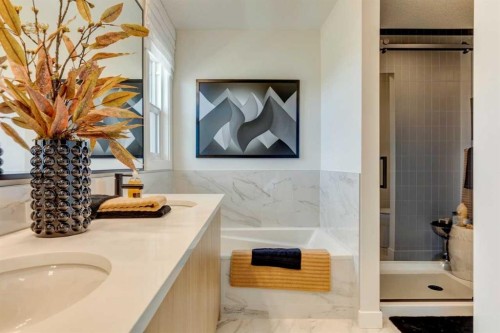 64 Southborough Common, Cochrane, AB - Indoor Photo Showing Bathroom