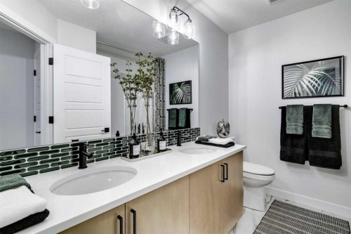 731 Langley Terrace Se, Airdrie, AB - Indoor Photo Showing Bathroom