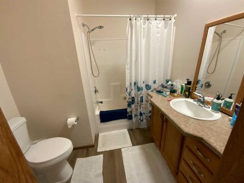 6 Cherry Lane Se, Three Hills, AB - Indoor Photo Showing Bathroom