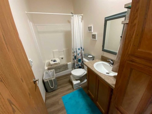 6 Cherry Lane Se, Three Hills, AB - Indoor Photo Showing Bathroom