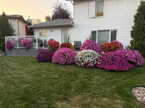 6313 Erickson Drive, Camrose, AB - Outdoor With Deck Patio Veranda