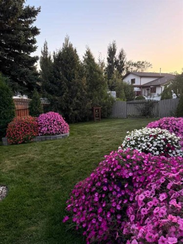 6313 Erickson Drive, Camrose, AB - Outdoor