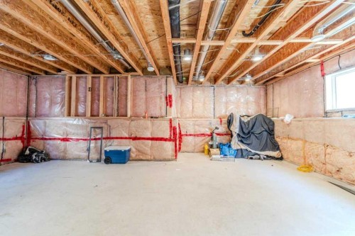 9 Cedar Crescent, Blackfalds, AB - Indoor Photo Showing Basement