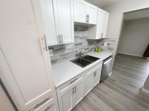 #16-5935 63 Street, Red Deer, AB - Indoor Photo Showing Kitchen With Double Sink