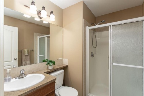 229 Jaspar Crescent, Red Deer, AB - Indoor Photo Showing Bathroom
