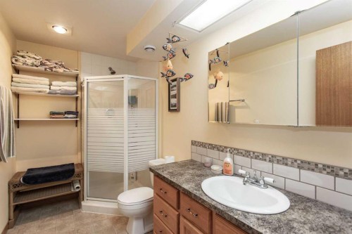 13 43 Avenue Close, Lacombe, AB - Indoor Photo Showing Bathroom