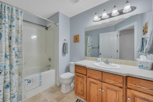82 Ingram Close, Red Deer, AB - Indoor Photo Showing Bathroom