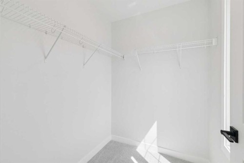 599 Buffaloberry Manor Se, Calgary, AB - Indoor With Storage