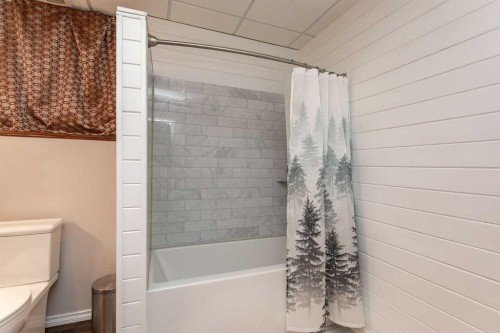 344 Timothy Drive, Red Deer, AB - Indoor Photo Showing Bathroom