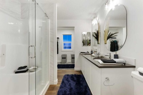 83 Creekstone Common Sw, Calgary, AB - Indoor Photo Showing Bathroom